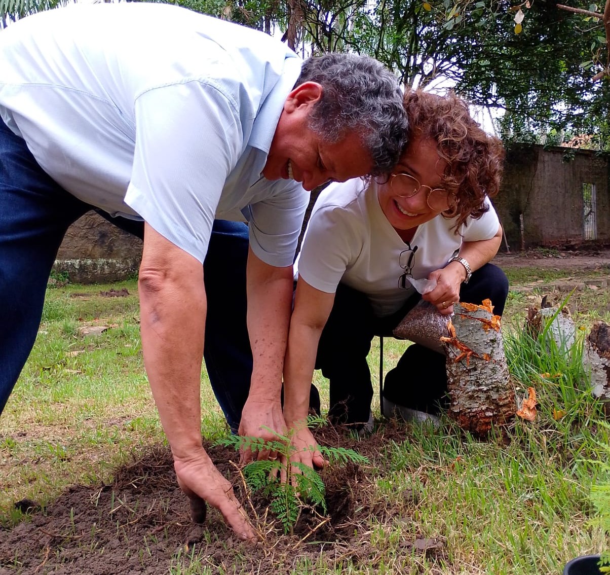 Sustentabilidade em Movimento: O Compromisso Ambiental da Tikara Transportes
